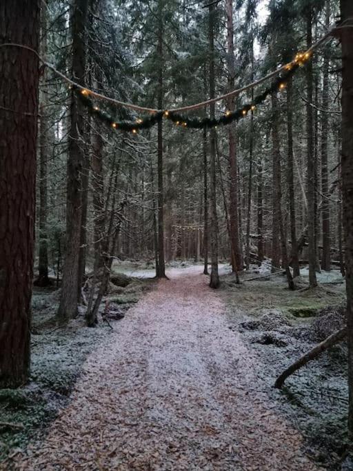 Treetop Ekne - Hytte I Skogen Med Hengebru Hotel Levanger Exterior foto