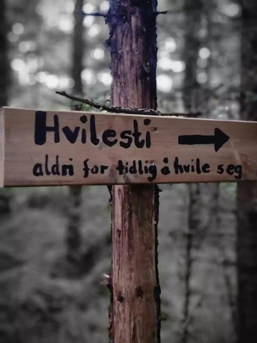 Treetop Ekne - Hytte I Skogen Med Hengebru Hotel Levanger Exterior foto