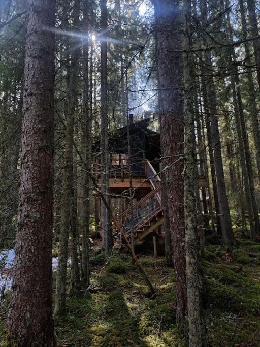 Treetop Ekne - Hytte I Skogen Med Hengebru Hotel Levanger Exterior foto