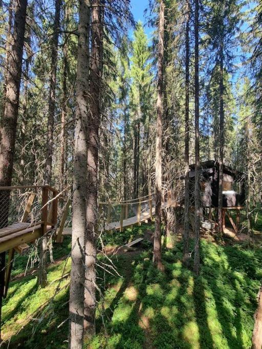 Treetop Ekne - Hytte I Skogen Med Hengebru Hotel Levanger Exterior foto