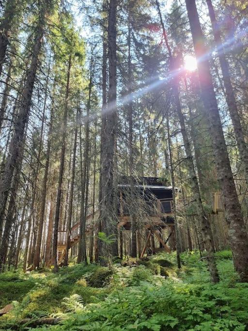 Treetop Ekne - Hytte I Skogen Med Hengebru Hotel Levanger Exterior foto