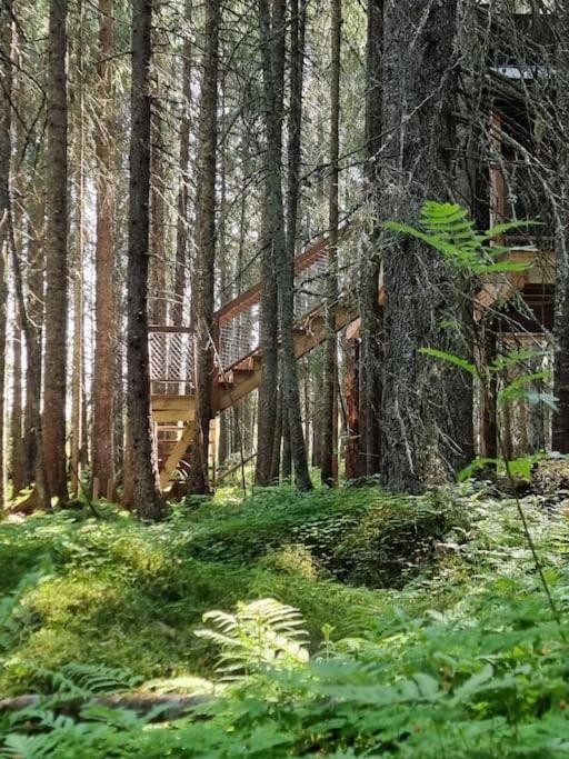 Treetop Ekne - Hytte I Skogen Med Hengebru Hotel Levanger Exterior foto